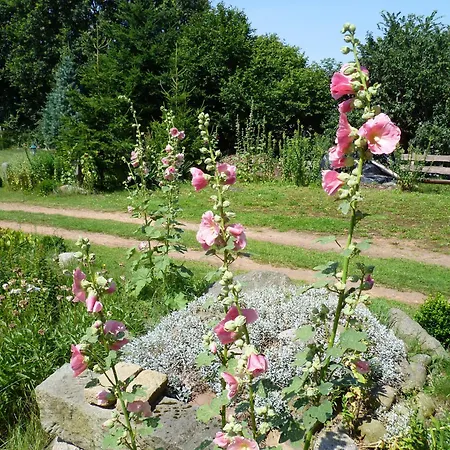 Dahme Zwischen Berlin Dresden Leipzig Spreewald Ihlow (Aurich)